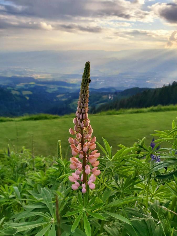 Korlape Apartman 4.2 Wolfsberg Exteriör bild